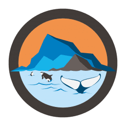 whales. illustration.