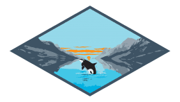 killer whale. illustration.